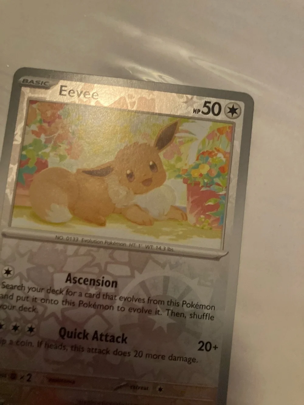 Pokemon Eevee Holographic Card - Silver, Brown, Cream common